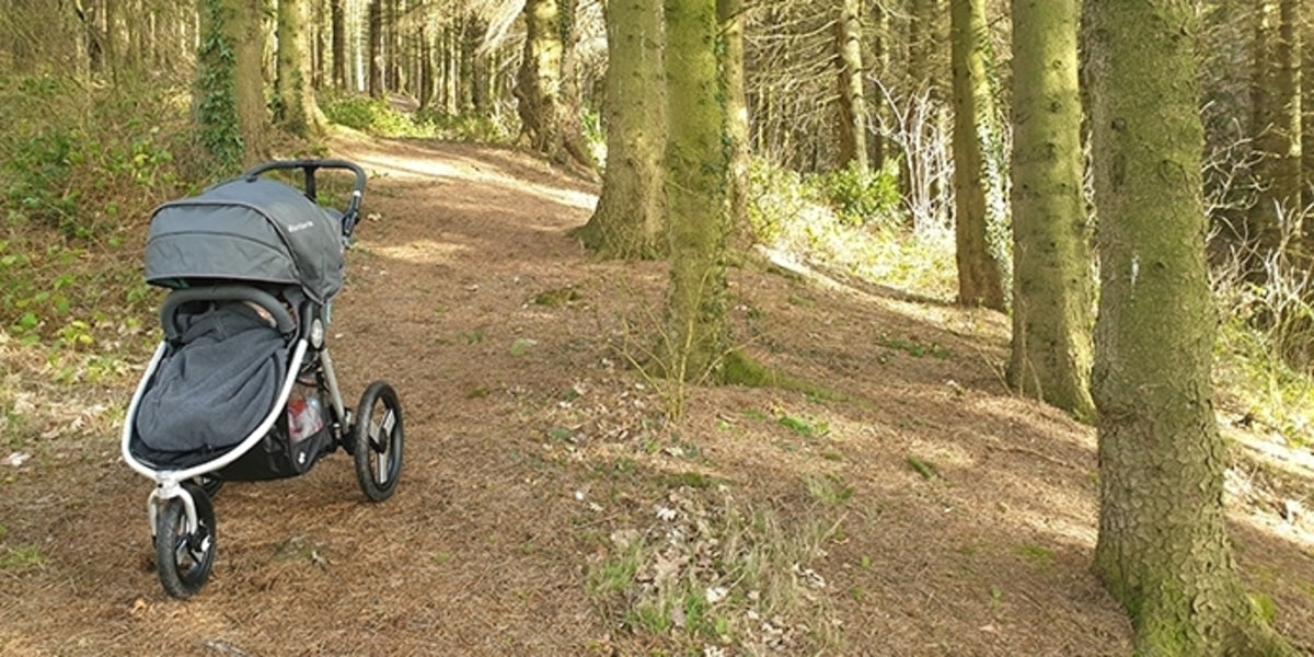 Bumbleride speed review shop
