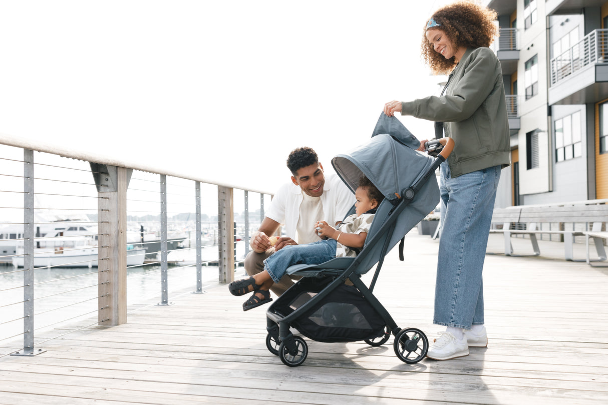 UPPAbaby Minu V3 Stroller - Dillan