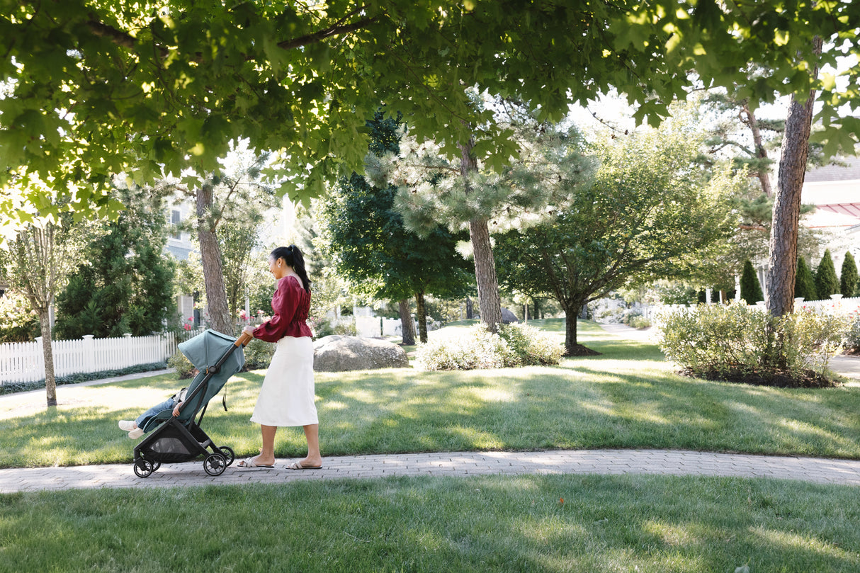 UPPAbaby Minu V3 Stroller - Dillan