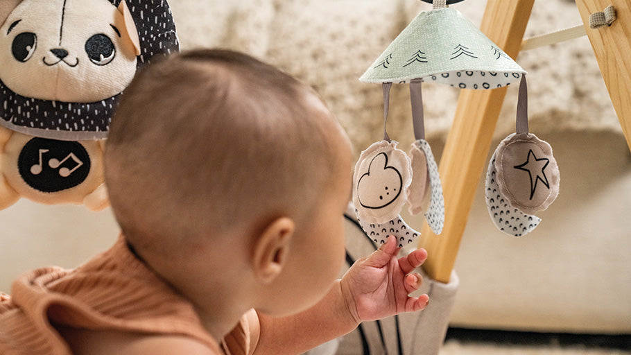 Tiny Love Décor Luxe Gymini Playmat - Black & White