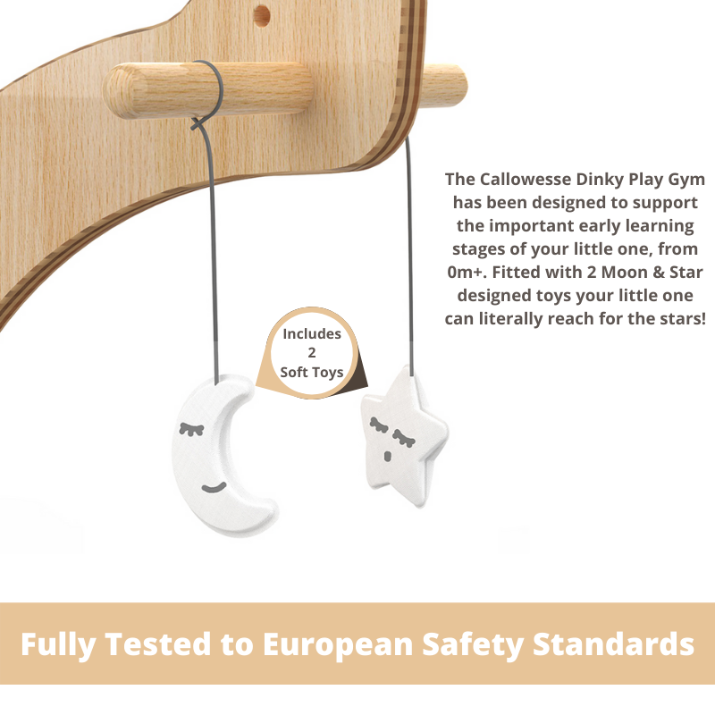 MamaToyz Dinky Wooden Baby Activity Gym with Moon & Star Soft Toys