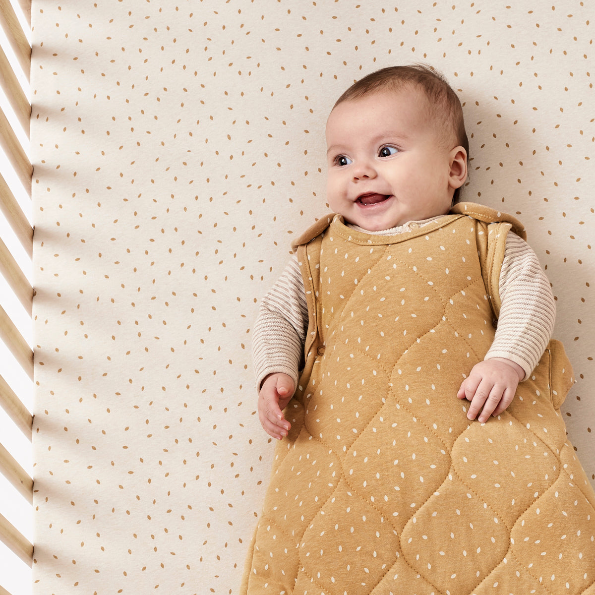 Little Green Sheep Organic Baby Sleeping Bag | 2.5 Tog | 0-6 Months - Honey Rice