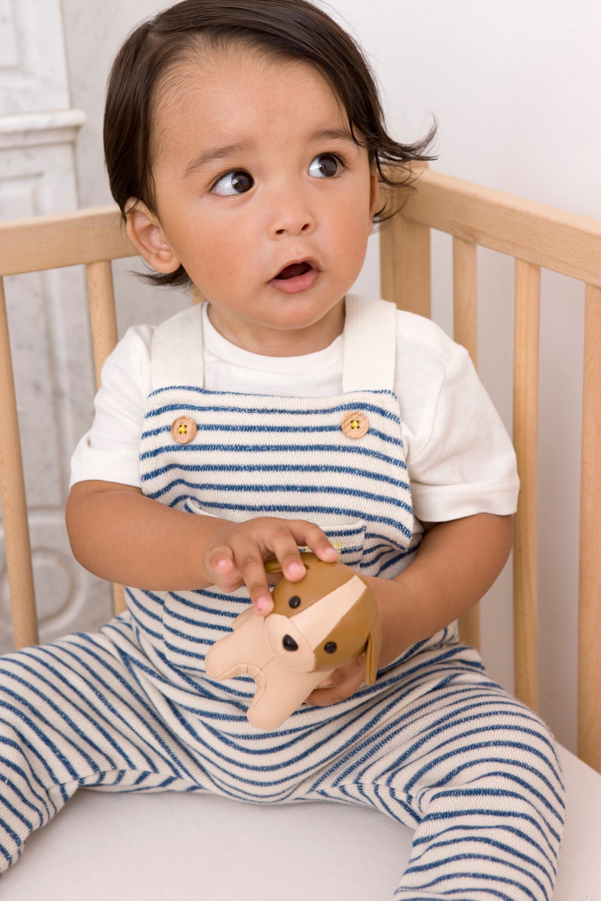 Little Big Friends - Farm Collection Tiny Friends Rattle Toy - Dog