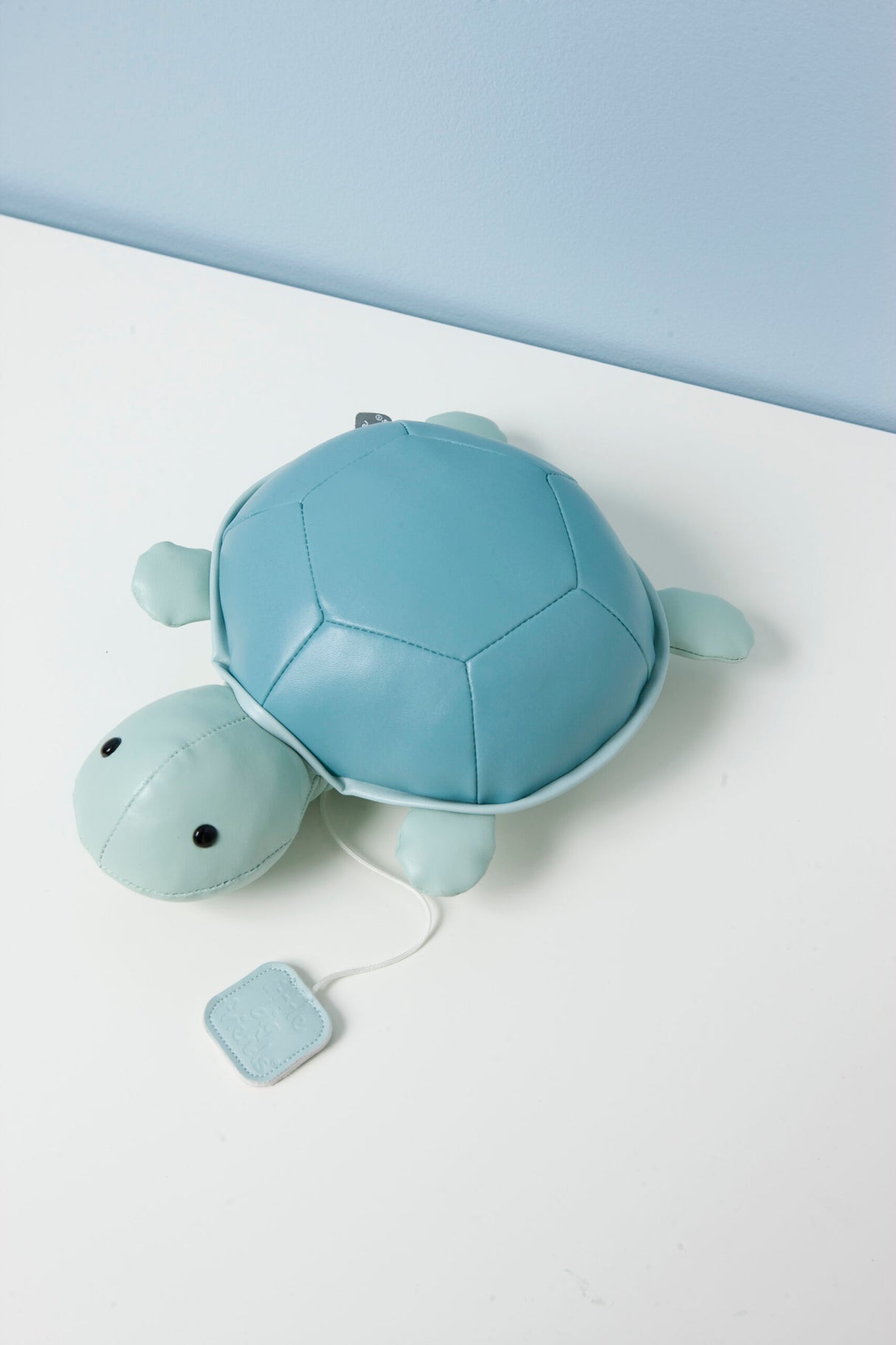 Little Big Friends: Sea Collection Pull-String Musical Animal Toy - Emilie the Turtle