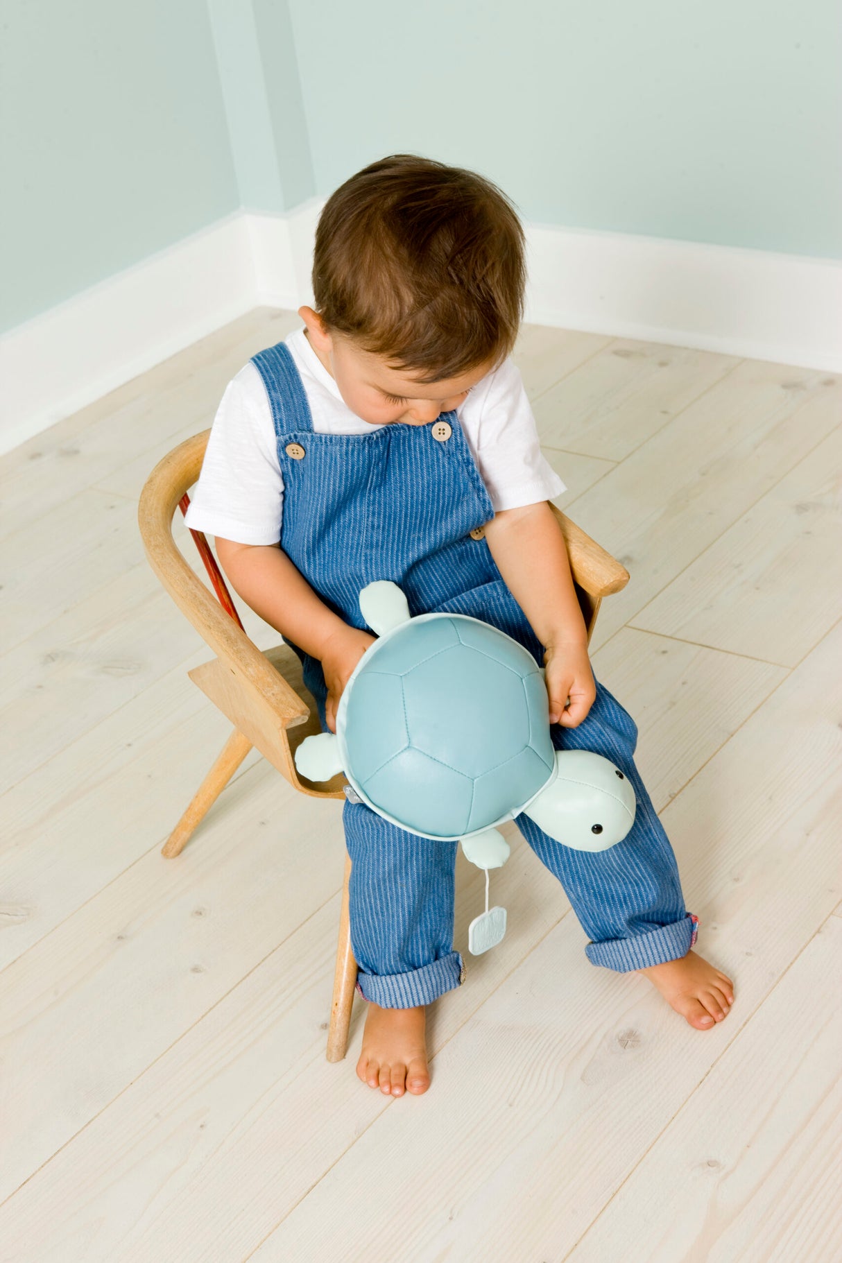 Little Big Friends: Sea Collection Pull-String Musical Animal Toy - Emilie the Turtle