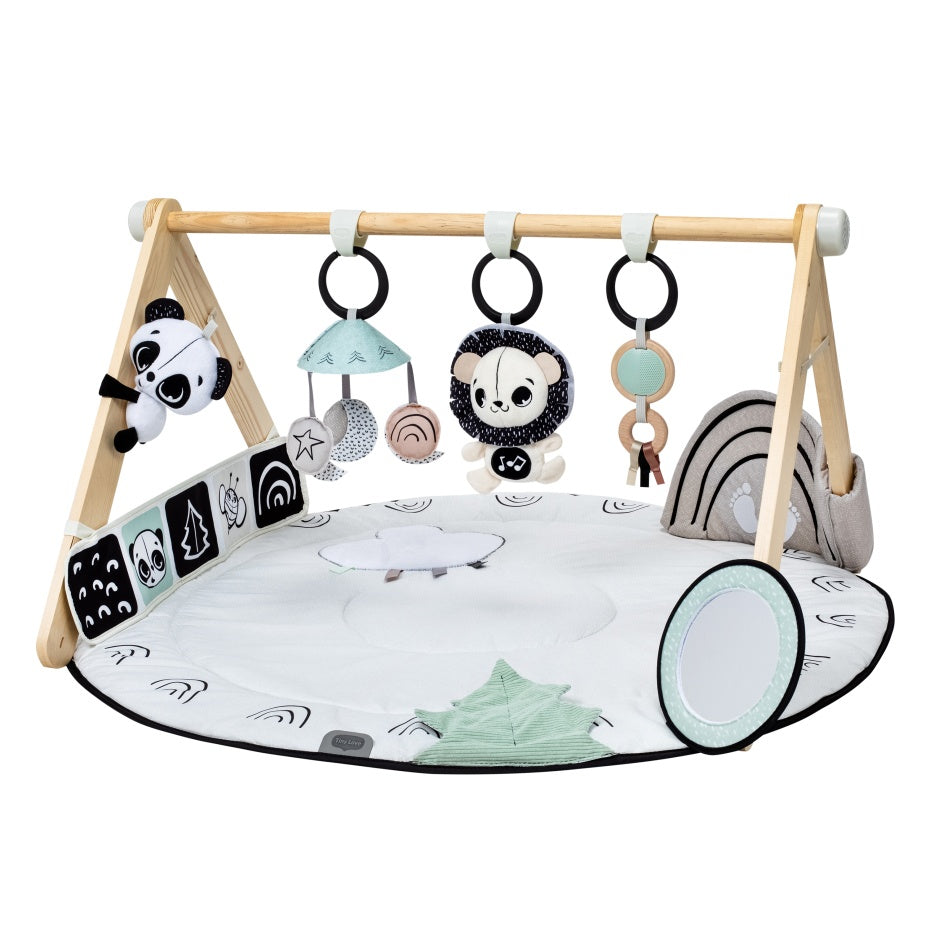 Tiny Love Décor Luxe Gymini Playmat - Black & White
