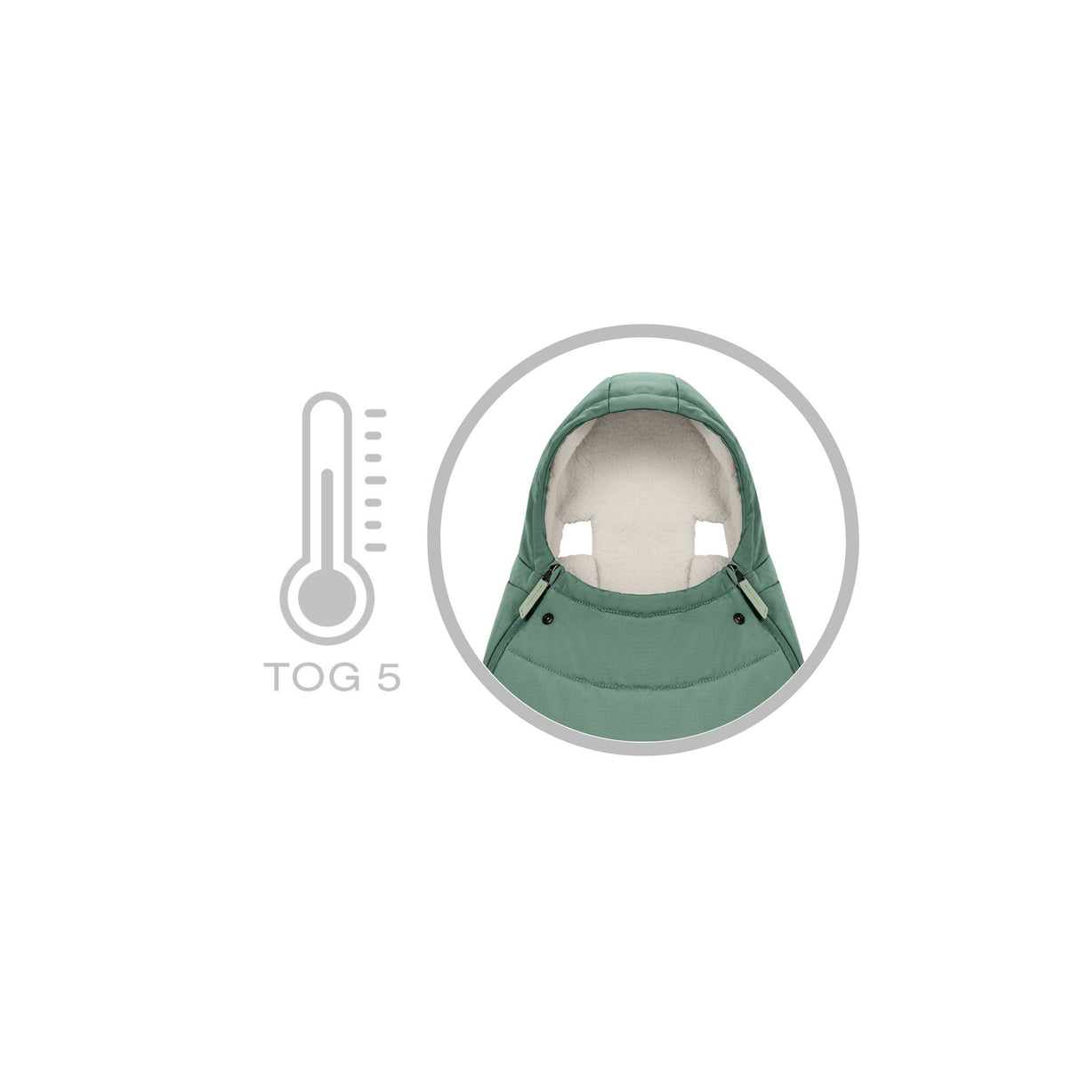 Cybex Priam Travel System with Accessories, Cloud T Car Seat & ISOFIX Base - Leaf Green / Rose Gold Frame