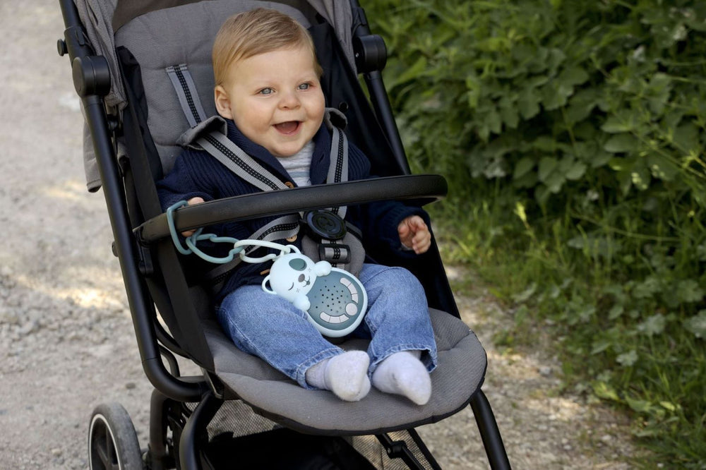 Cloud B Sweet Dreamz On the Go Portable White Noise Machine - Dog