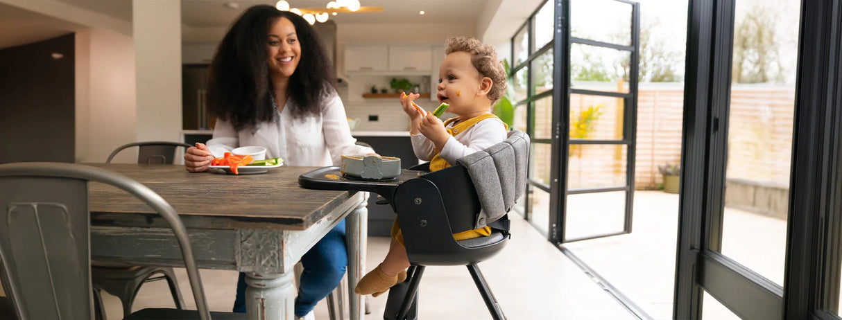 iCandy MiChair Complete All in One Highchair Bundle with Newborn Rocker - Black & Flint