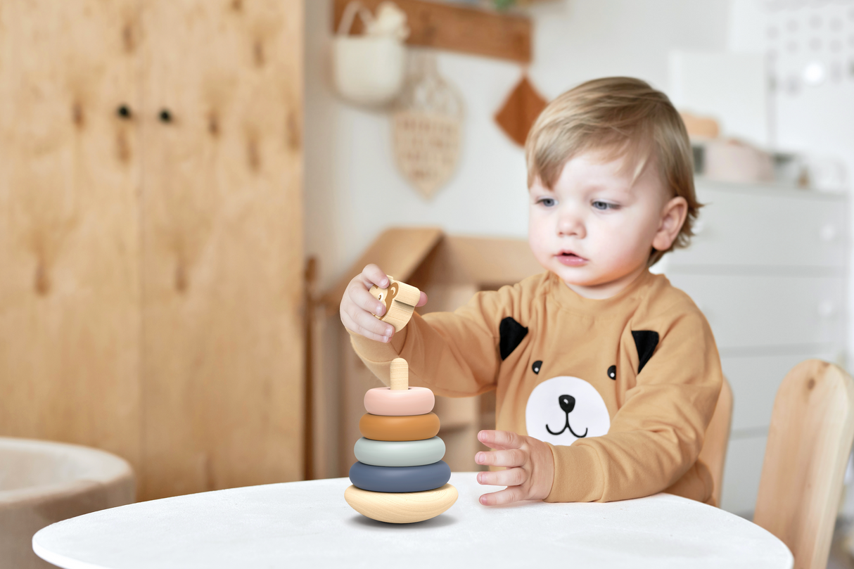 Speedy Monkey Roly Poly Stacker