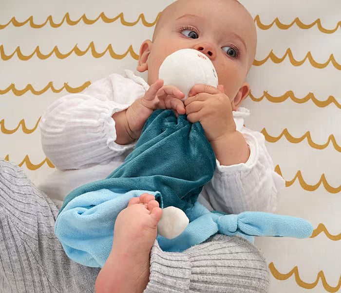 Tutti Bambini Baby Comforter - Our Planet