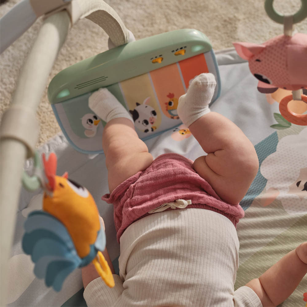Tiny Love Gymini Playmat - Farmers Funday