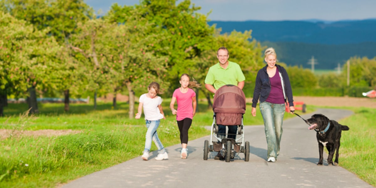5 of the best dog walking pushchairs
