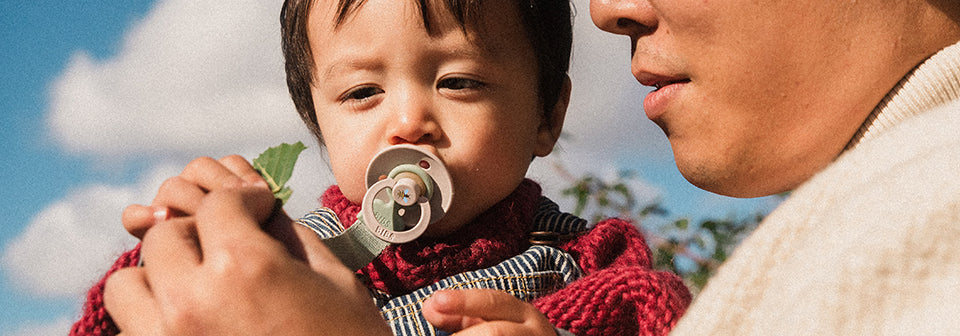 BIBS Pacifiers