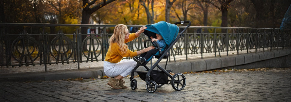 Cybex Travel Systems