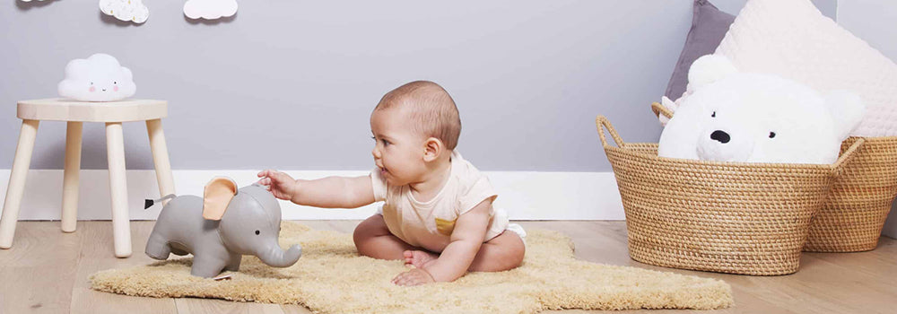 Baby Toys