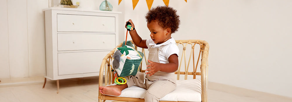 Developmental Toys