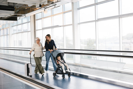 UPPAbaby Minu V3 Stroller - Dillan