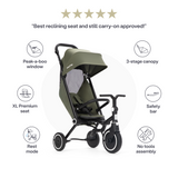 SmarTrike Wonder Max Trike - Deep Sage