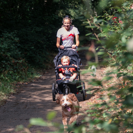 Out n About Nipper V6 Plus Single Pushchair - Rocksalt Grey