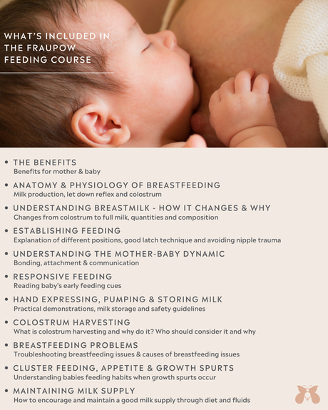 Fraupow Viva Pro Wearable Breast Pump