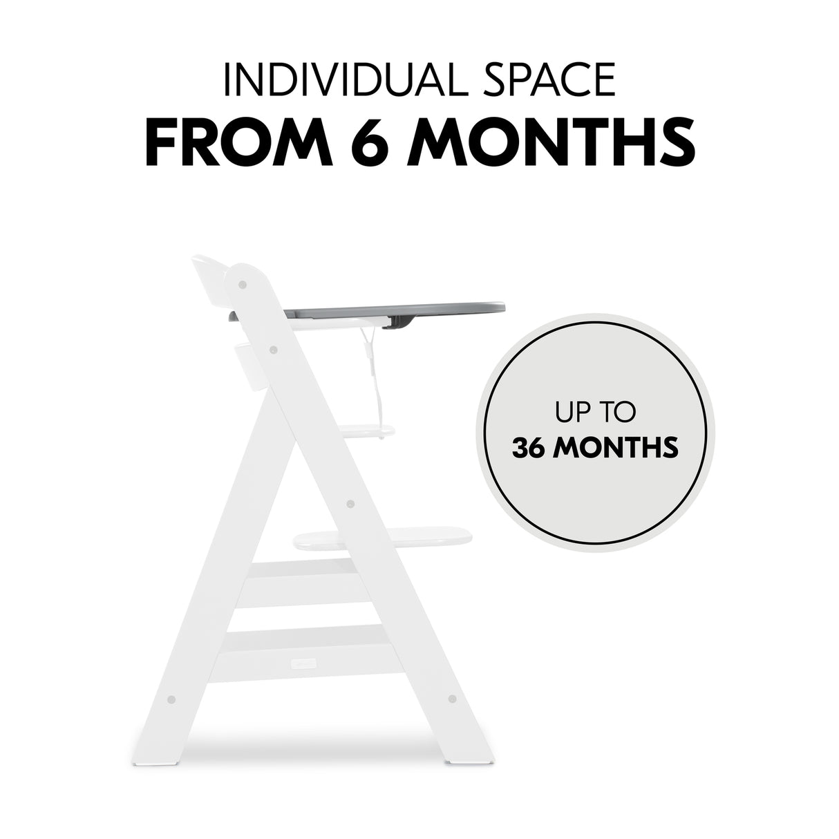 Hauck Alpha+ Highchair Click Tray - Grey