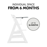 Hauck Alpha+ Highchair Click Tray - Grey