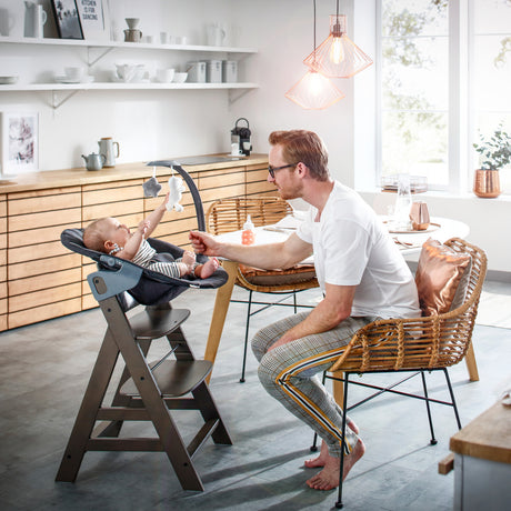 Hauck Alpha Deluxe Baby Bouncer - Melange Grey