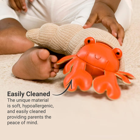 Little Big Friends: Sea Collection Pull-String Musical Animal Toy - Brigette the Hermit Crab