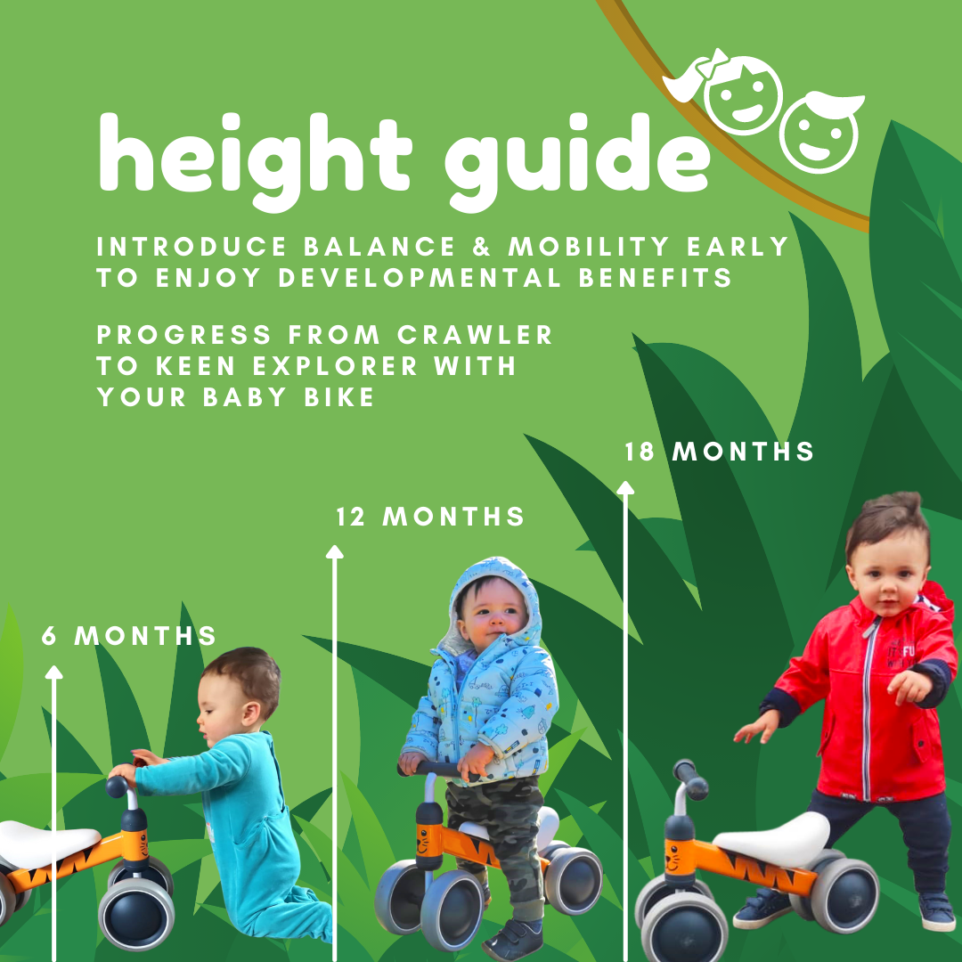 BoldCube Baby Balance Bike – Bertie Frog