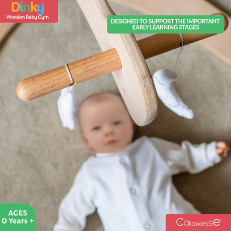 MamaToyz Dinky Wooden Baby Activity Gym with Moon & Star Soft Toys