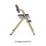 Silver Cross Nest & Nurture | 4 in 1 Highchair And Bouncer Bundle - Biscuit