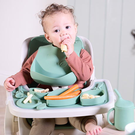 Tutti Bambini Nova Maison Highchair Accessory Pack - Basil