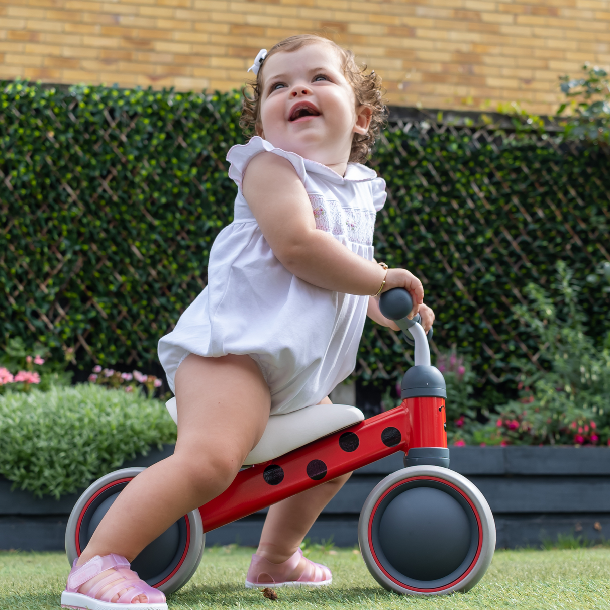BoldCube Baby Balance Bike – Betty Ladybird