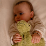 Little Big Friends Baby Gift Box - Dino Friends