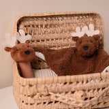 Little Big Friends Baby Gift Box - Forest