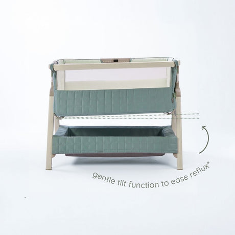 Tutti Bambini Cozee Sense Bedside Crib - White Wash & Kelp