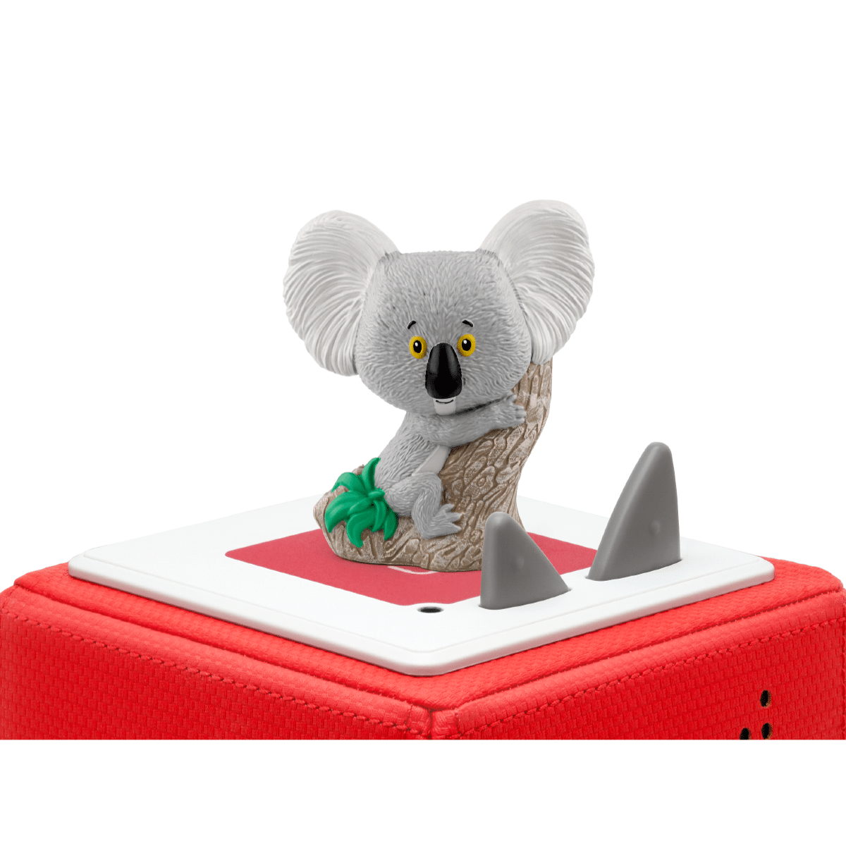 – Rachel Bright Koala Who Could Other Favourites