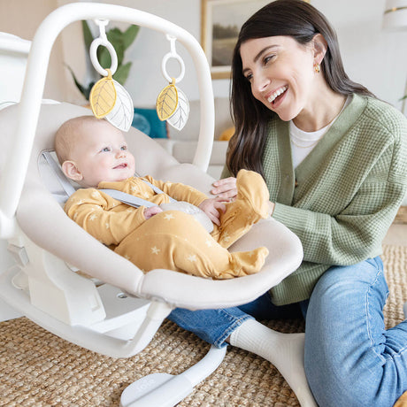 Joie Whimsy Wind Up Swing - Almond