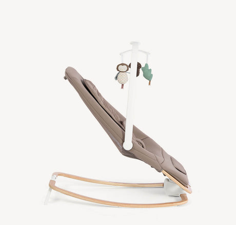 Joie Dreamer Rocker - Strata Acorn Wood