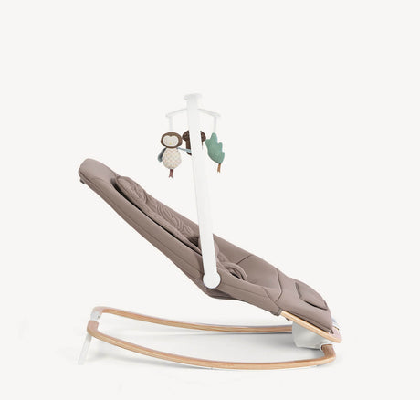 Joie Dreamer Rocker - Strata Acorn Wood