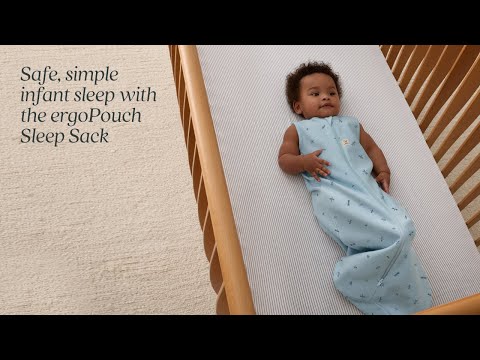 ergoPouch Organic Winter Sleeping Bag | 2.5 Tog | 3-12 Months - Dragonflies