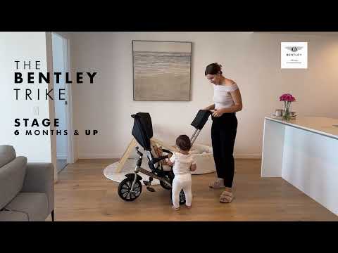Bentley 6-in-1 Push Along Trike / Bike - Dragon Red