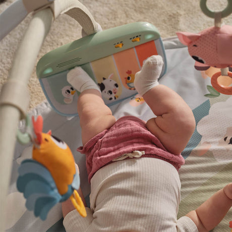 Tiny Love Gymini Playmat - Farmers Funday