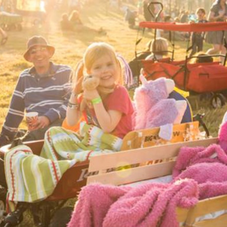 5 of the best pushchairs for festivals